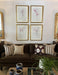 A styled living room scene featuring a dark brown sofa with striped and patterned throw pillows, set against a white wall decorated with four framed botanical prints in gold frames. A wooden coffee table with blue and white ceramic vases and a green potted plant is visible in the foreground.