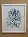 blue seaweed print in white frame
