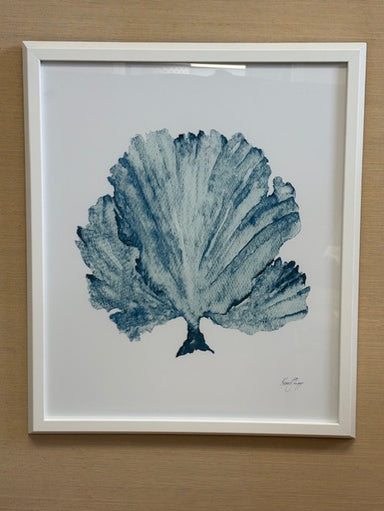 blue coral on white background, framed in white