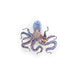 Colorful octopus figurine on a white background