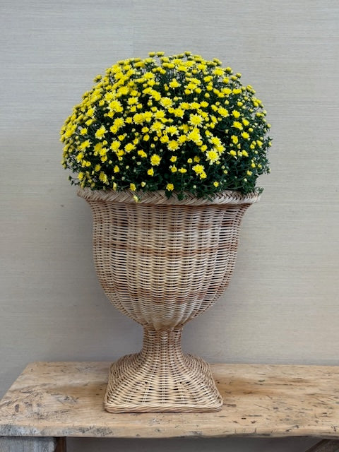 Woven and Braided Natural Rattan Urn