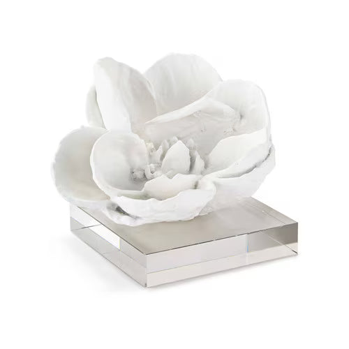 Botanical Sculptures on Acrylic Base