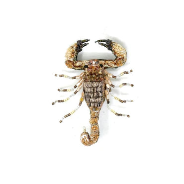 Trovelore Beaded Brooches