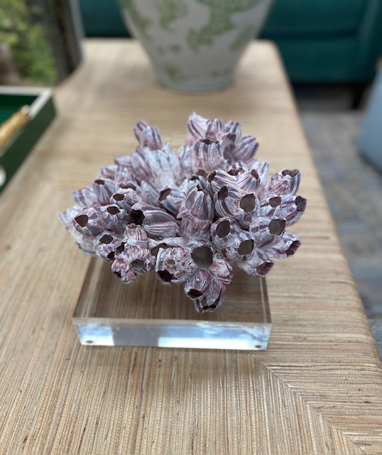 Acrylic Risers