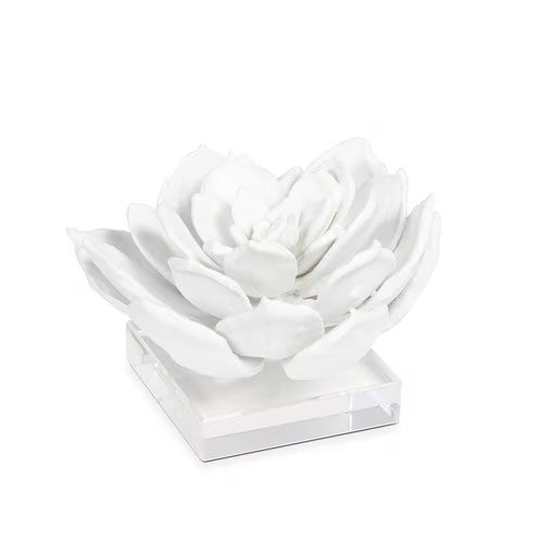 Botanical Sculptures on Acrylic Base