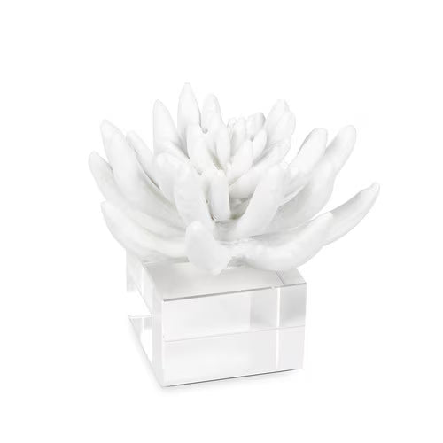 Botanical Sculptures on Acrylic Base