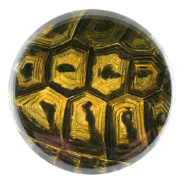 close up of tortoise decoupage mirror button
