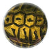 close up of tortoise decoupage mirror button