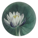 Illustration of a white water lily on a green leaf with a white background
