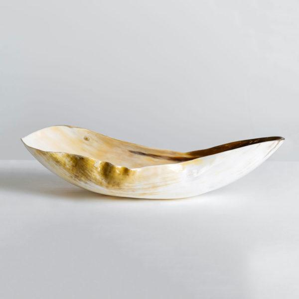 side view of natural ankole horn bowl