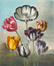 remastered antique Swedish botanicals, tulips