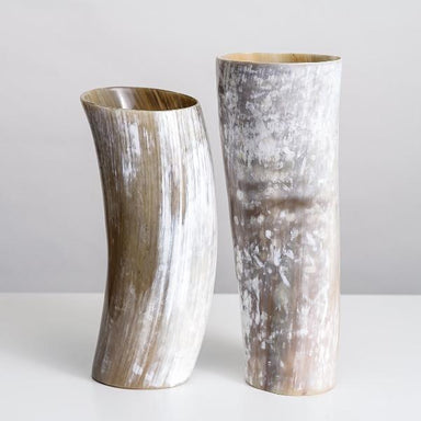 two sizes of natural horn vases