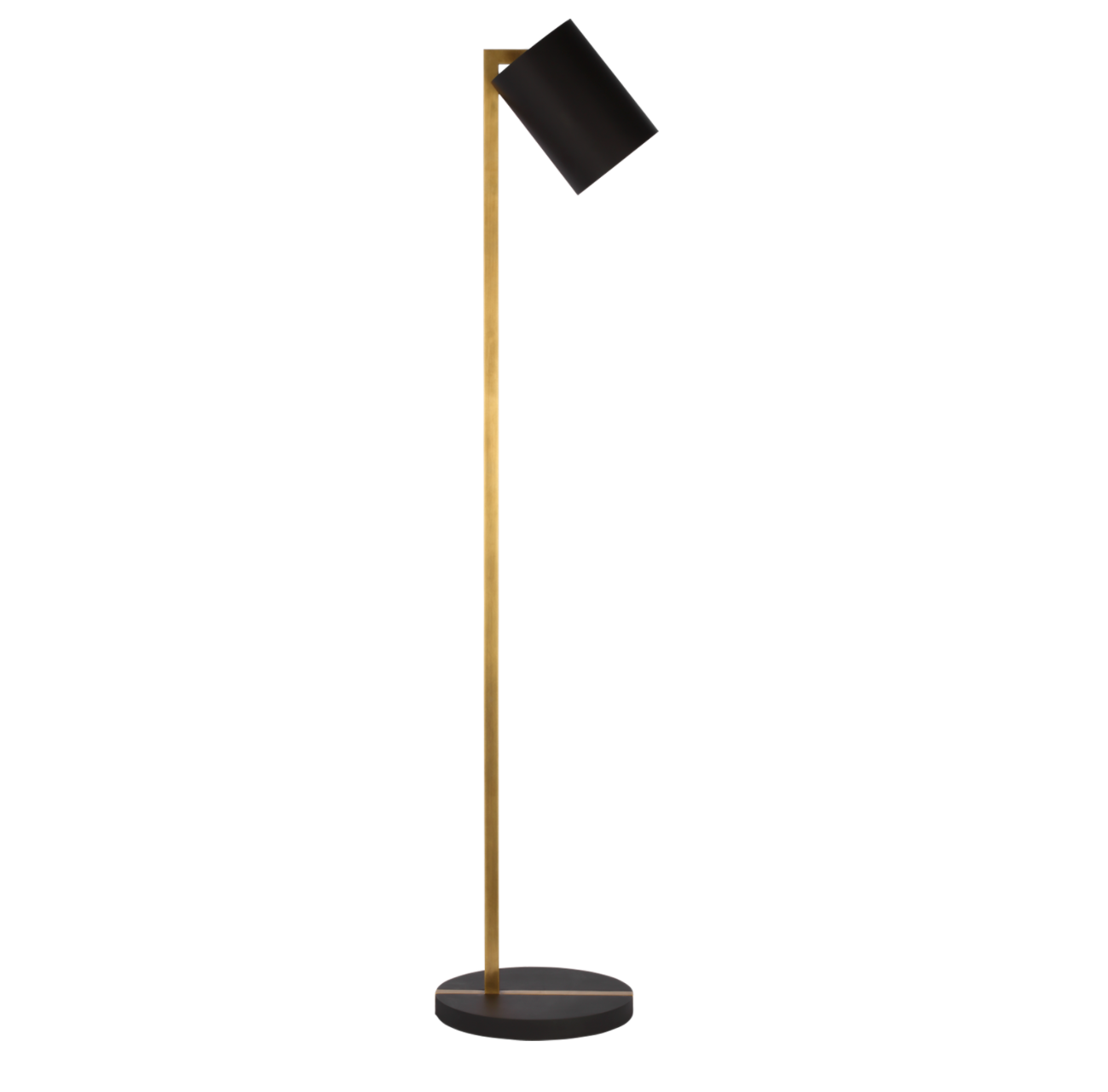 matte black and brass task floor lamp