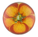 orange nasturtium decoupage dome paperweight from john derian