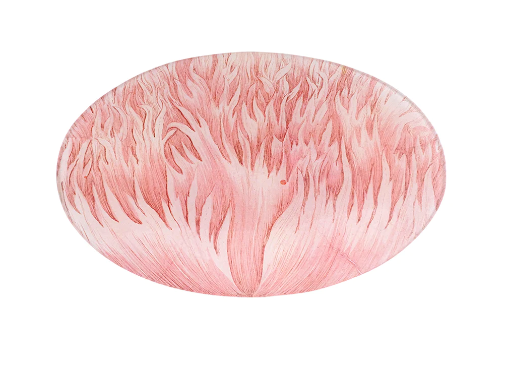 John Derian Decoupaged Oval Plate — Weidner Hasou & Co