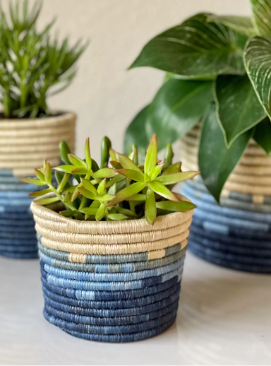 natural grass woven planters for house plants