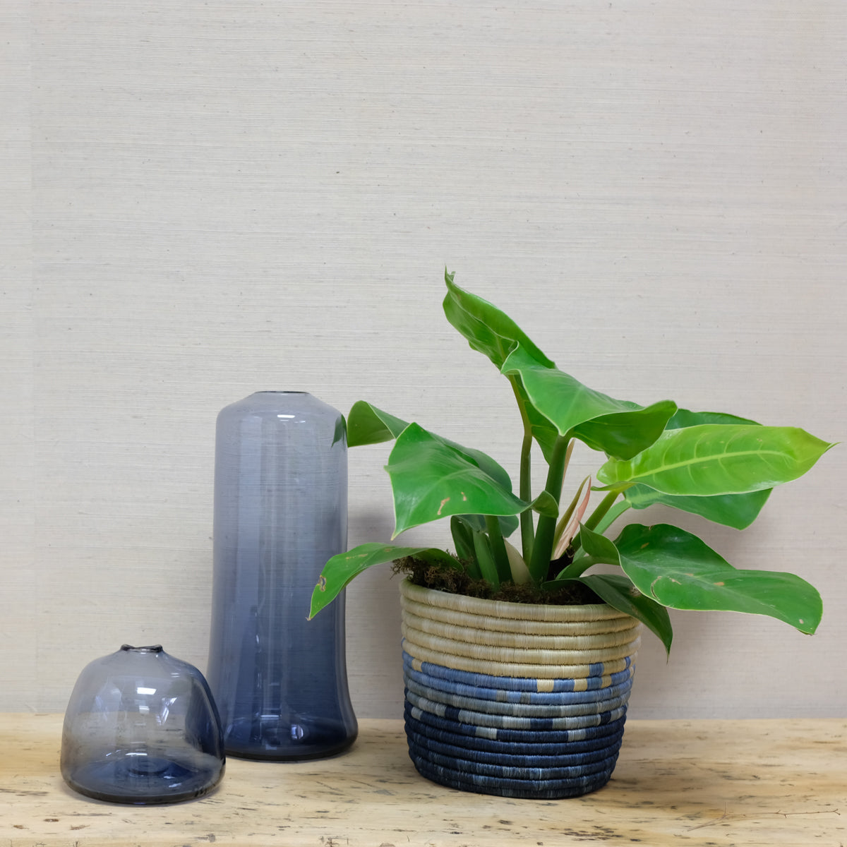 blue glass vases arranged with a basket with plant