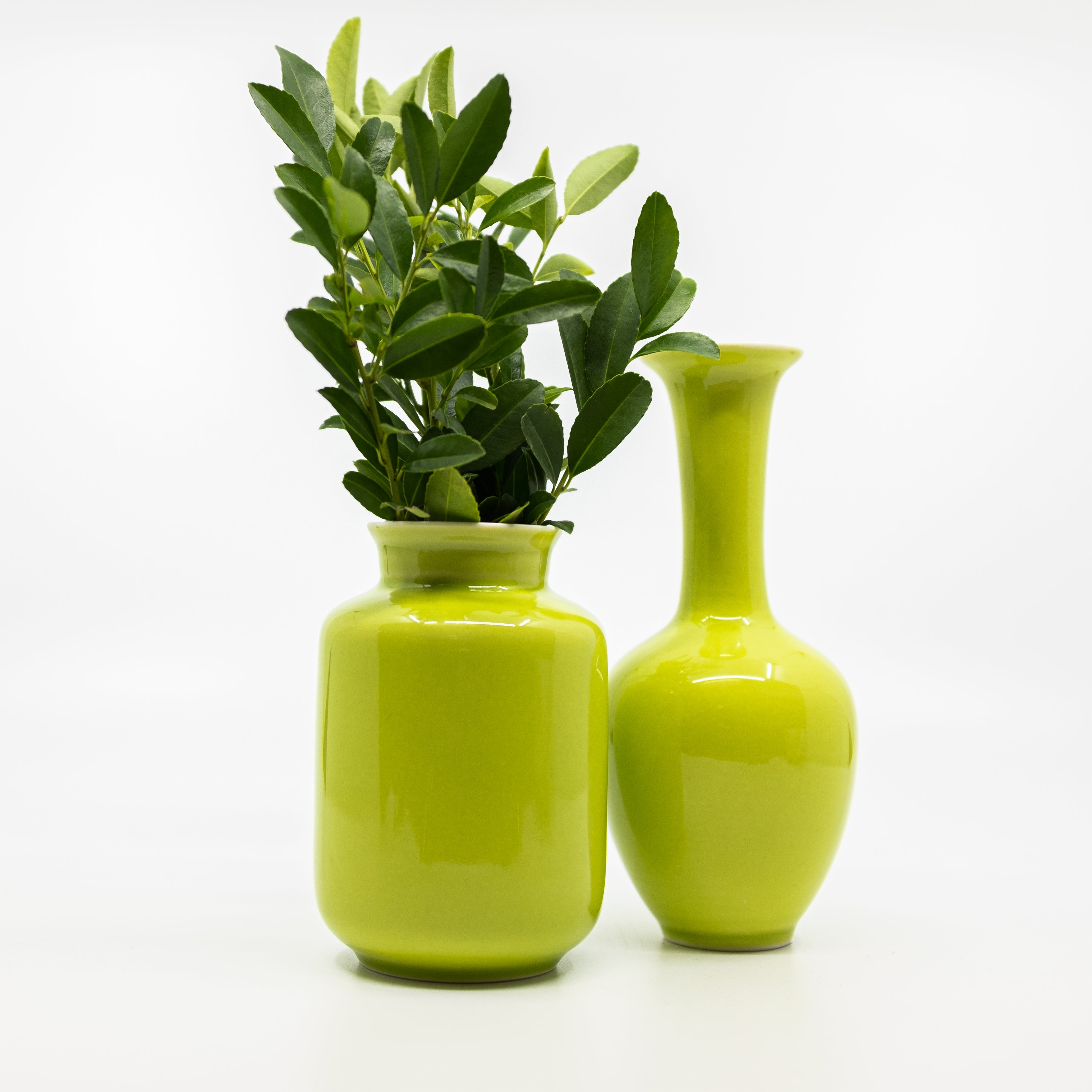 apple green mini vases